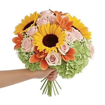 Serene Petal Harmony