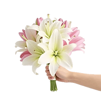 Graceful Lily Display