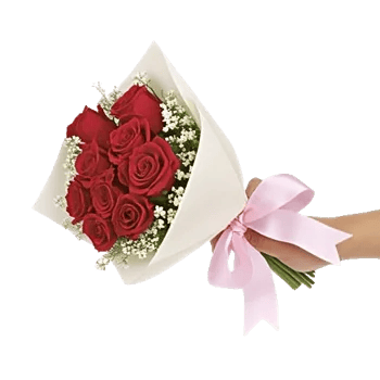 Crimson Rose Elegance