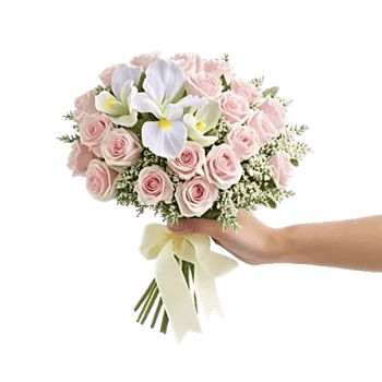 Ivory Garden Grace