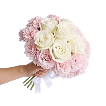 Pastel Pink Roses