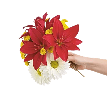 Graceful Lily Display