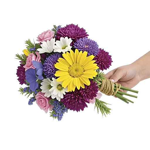 Enchanting Daisy Garden