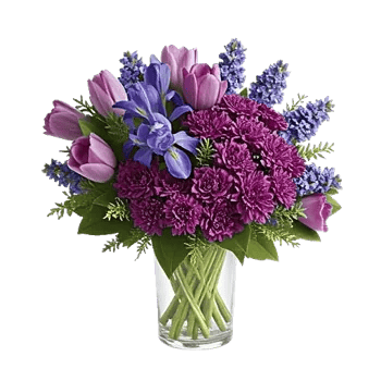 Velvet Tulip Display