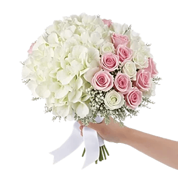 Serene Petal Harmony