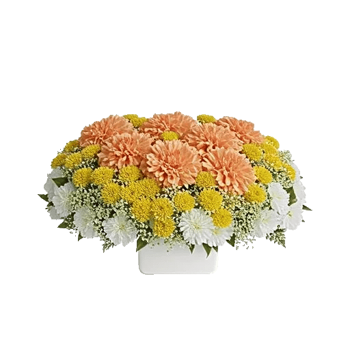 Delicate Petal Cascade