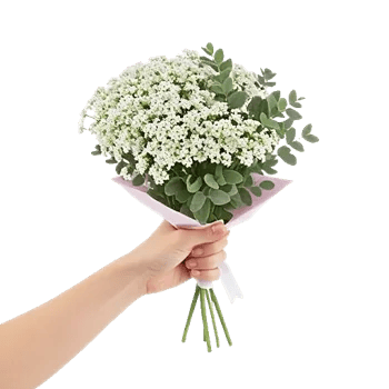 Ivory Garden Grace