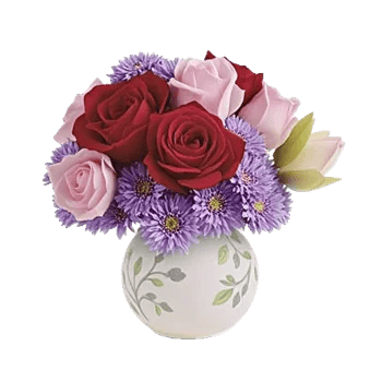 Radiant Rose Symphony