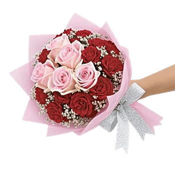 Pastel Pink Roses