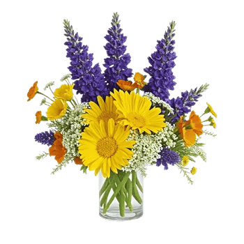 Petal Radiance Bliss