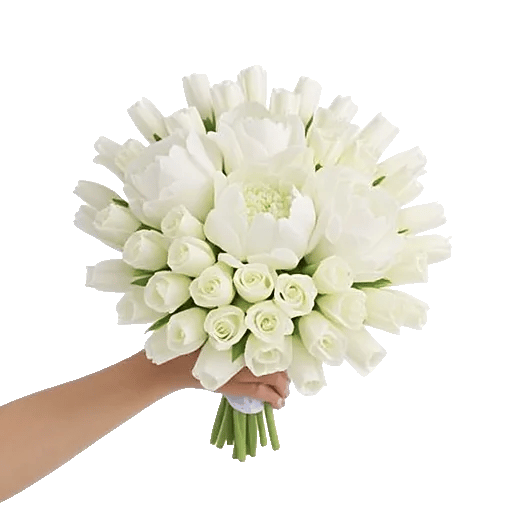 Peony Petal Harmony