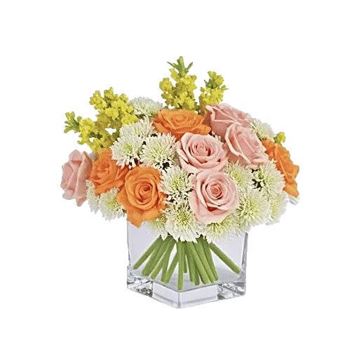 Petal Harmony Bliss