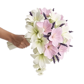 Delicate Petal Cascade