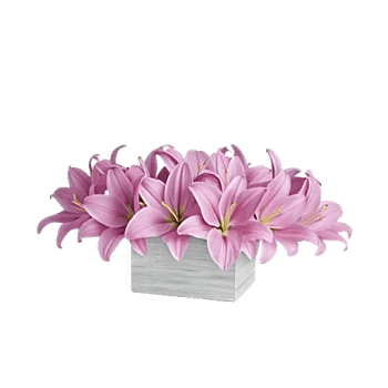 Graceful Lily Display