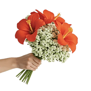 Blossom Harmony Display