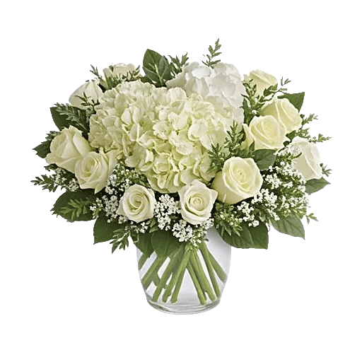 Serene Petal Harmony