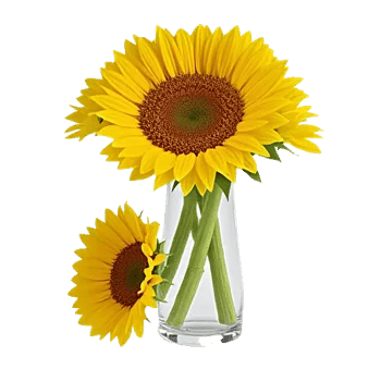 Amber Sunflower Glow