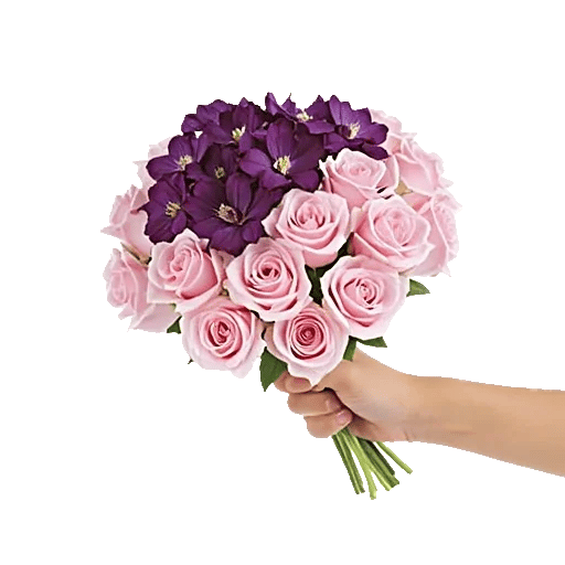 Petal Softness Display