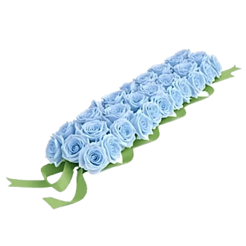 Elegant Blue Roses