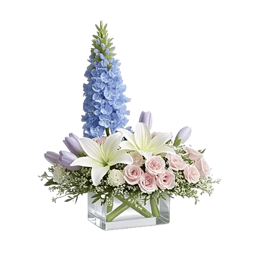 Blossom Petal Serenity