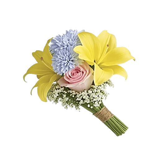 Blossom Petal Serenity