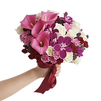 Elegant Calla Lilies