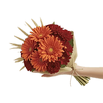 Radiant Bloom Cascade