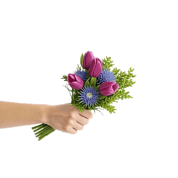 Velvet Tulip Display