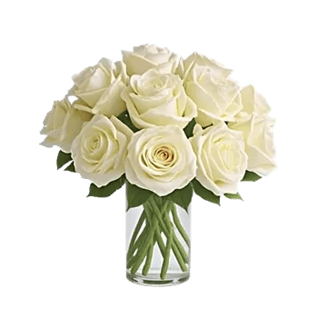 Ivory Blossom Radiance