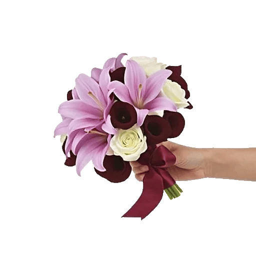 Elegant Calla Lilies