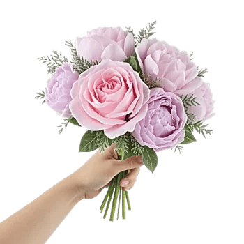 Pastel Pink Roses