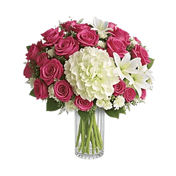 Ivory Blossom Radiance