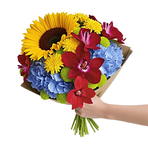 Radiant Bloom Cascade