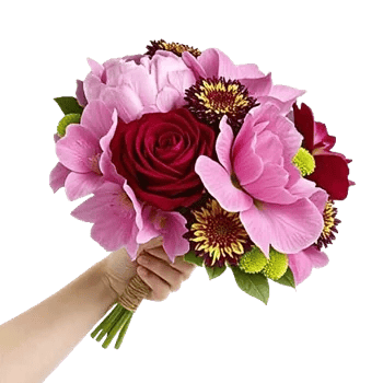 Petal Grace Harmony