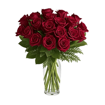 Crimson Rose Elegance