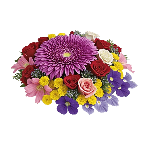 Petal Radiance Bliss