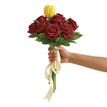 Radiant Bloom Cascade