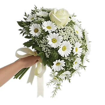 Delicate Petal Cascade