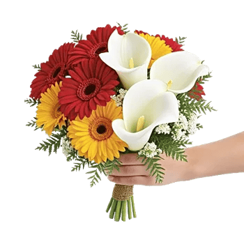Petal Harmony Bliss