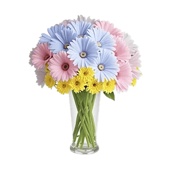 Graceful Lily Display