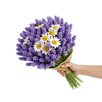 Lavender Bloom Grace