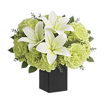 Ivory Blossom Radiance