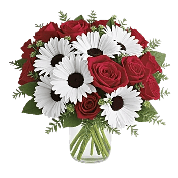 Tulip Rose Mix