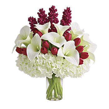 Elegant Calla Lilies