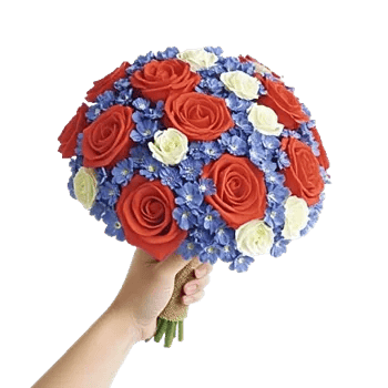 Blushing Rose Symphony