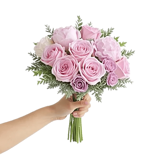 Pastel Pink Roses