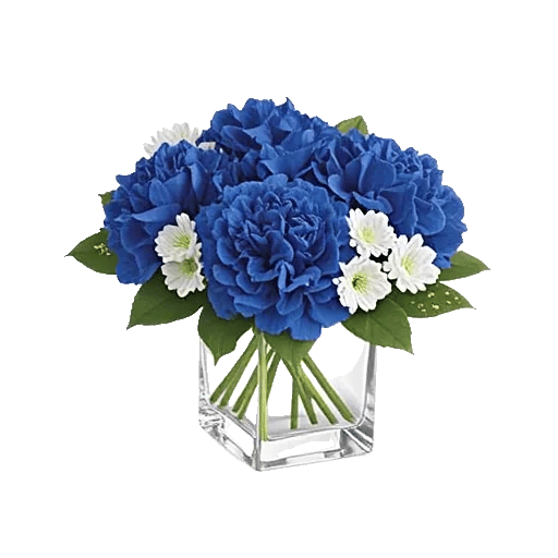 Elegant Blue Roses