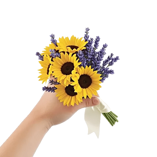 Twinkling Sunflower Dance