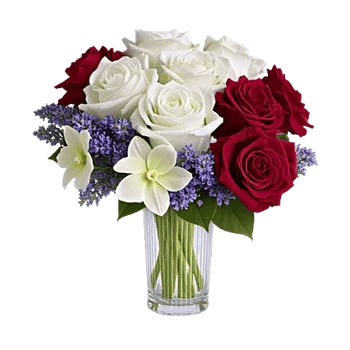 Radiant Rose Symphony