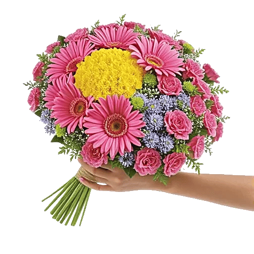 Petal Harmony Bliss